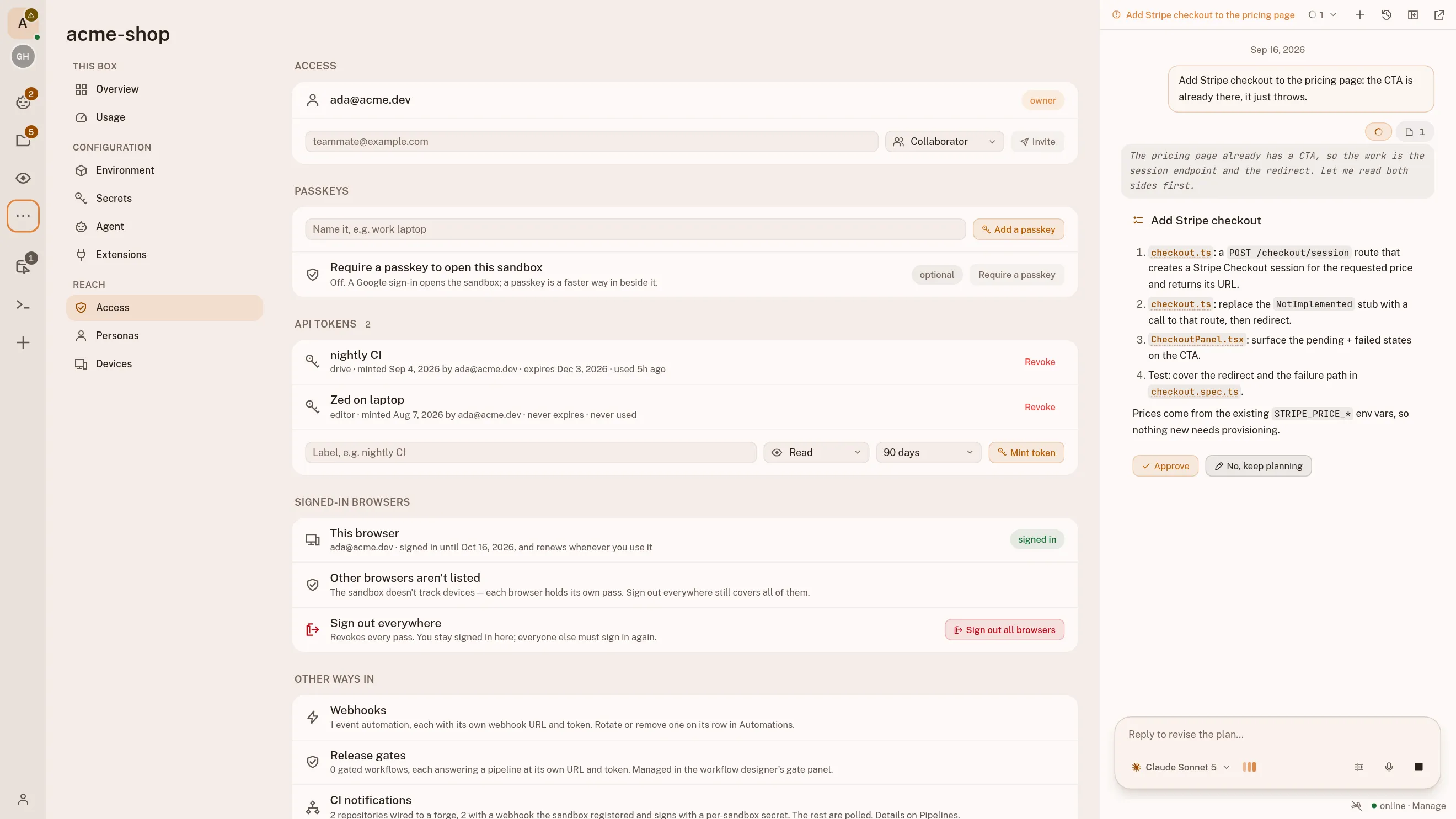 The workspace's Access page: the owner, a field to invite someone by email, the browsers currently signed in, and under Here now a collaborator looking at the board.